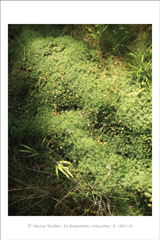 klikni pro zv�t�en�