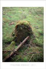 klikni pro zv�t�en�