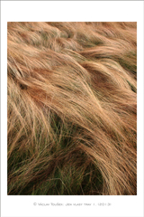 klikni pro zv�t�en�