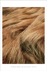 klikni pro zv�t�en�