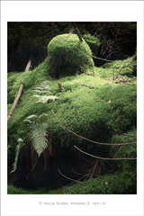 klikni pro zv�t�en�