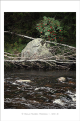 klikni pro zv�t�en�