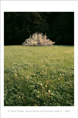 klikni pro zv�t�en�