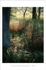 klikni pro zv�t�en�