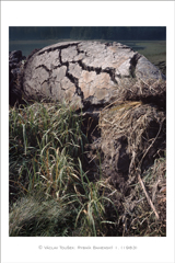 klikni pro zv�t�en�