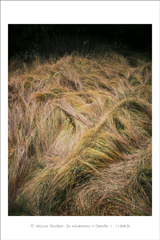 klikni pro zv�t�en�