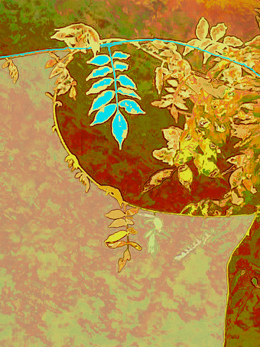 klikni pro zv�t�en�