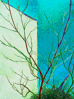 klikni pro zv�t�en�