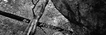 klikni pro vstup/Click for entrance