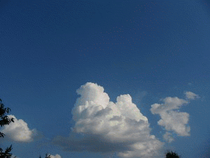 klikni na Slovn�k ciz�ch slov