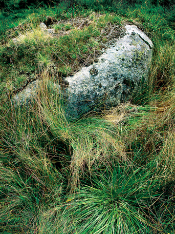 klikni pro zv�t�en�