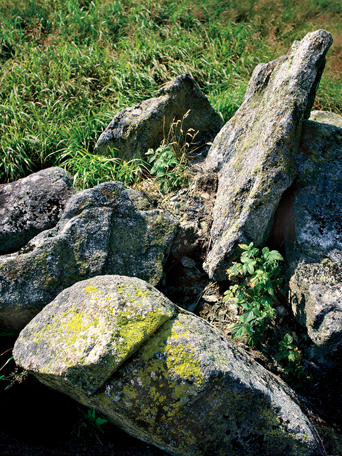 klikni pro zv�t�en�