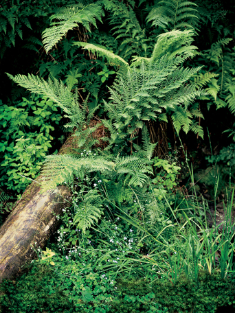 klikni pro zv�t�en�