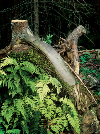 klikni pro zv�t�en�