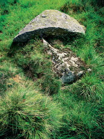 klikni pro zv�t�en�